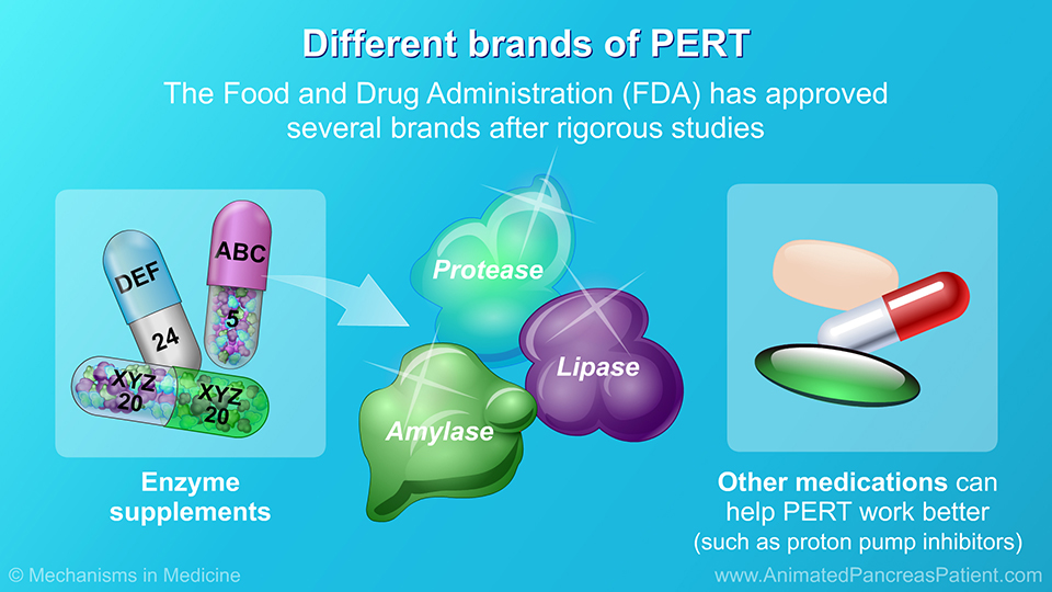Different brands of PERT