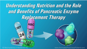 Nutrition and PERT