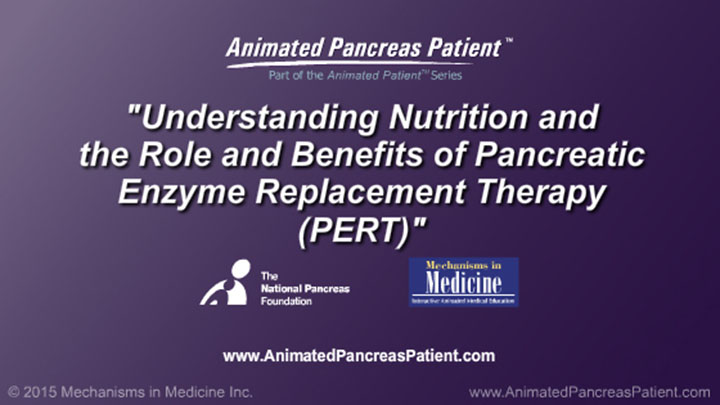 2023 Consumer s Guide to Pancreatic Enzyme Replacement Therapy PERT  Everyday Health to project 