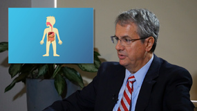 What is the function of the pancreas?