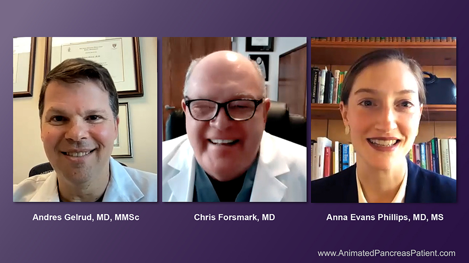 What does a chronic pancreatitis diet consist of?