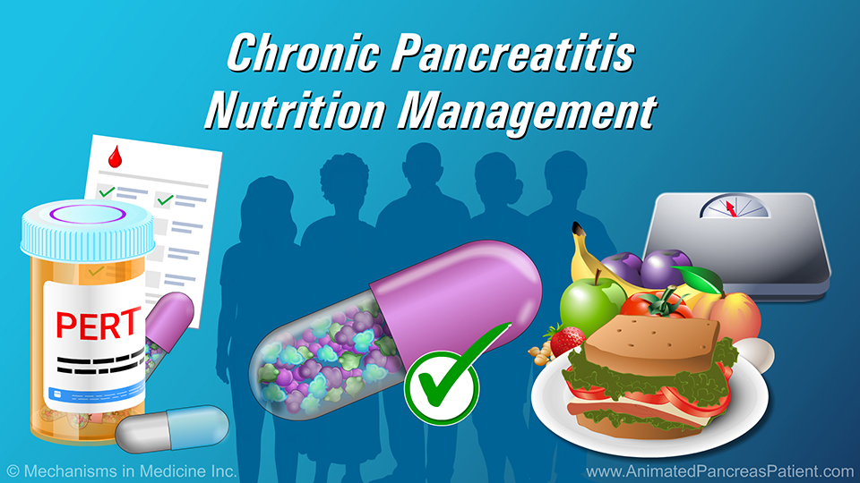Animation - Chronic Pancreatitis Nutrition Management