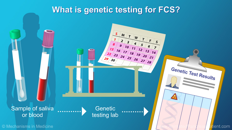 What is genetic testing for FCS? - 1