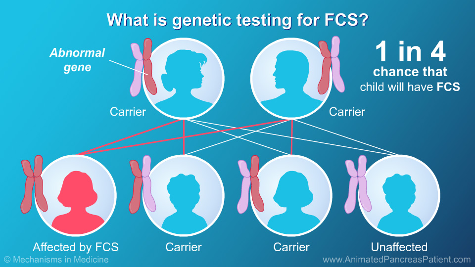 What is genetic testing for FCS? - 2